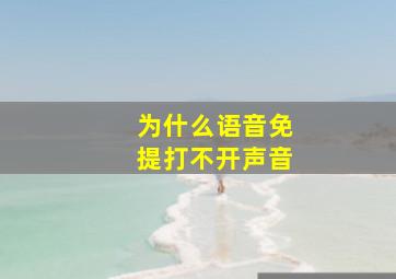 为什么语音免提打不开声音