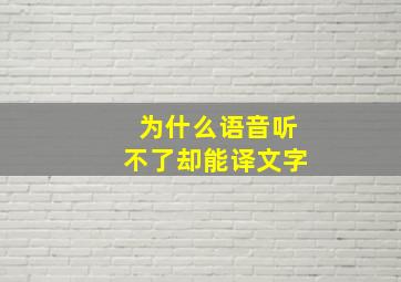 为什么语音听不了却能译文字