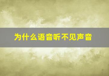 为什么语音听不见声音