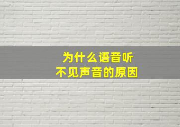 为什么语音听不见声音的原因