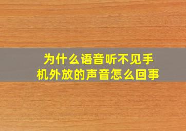 为什么语音听不见手机外放的声音怎么回事