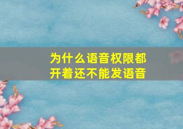 为什么语音权限都开着还不能发语音