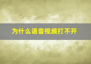 为什么语音视频打不开