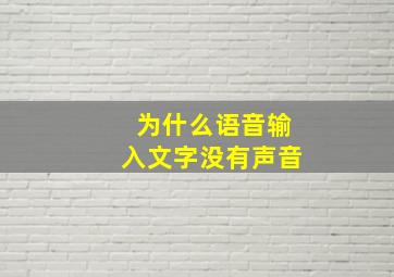 为什么语音输入文字没有声音