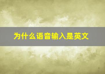 为什么语音输入是英文