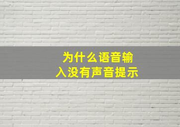 为什么语音输入没有声音提示