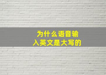 为什么语音输入英文是大写的