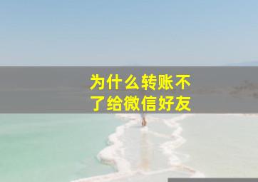 为什么转账不了给微信好友