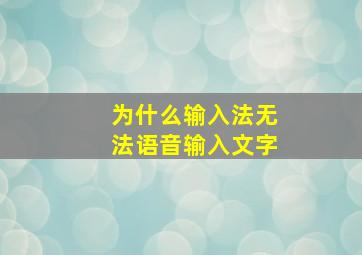 为什么输入法无法语音输入文字