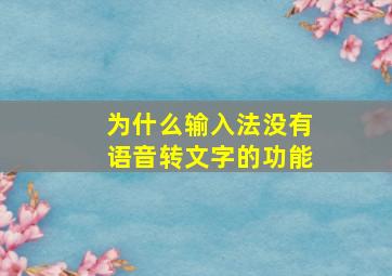 为什么输入法没有语音转文字的功能