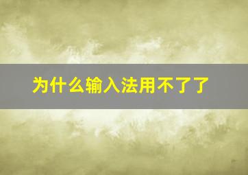 为什么输入法用不了了