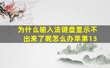 为什么输入法键盘显示不出来了呢怎么办苹果13