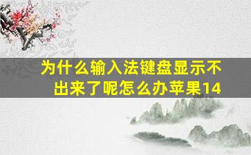 为什么输入法键盘显示不出来了呢怎么办苹果14