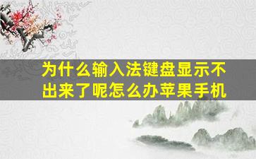 为什么输入法键盘显示不出来了呢怎么办苹果手机