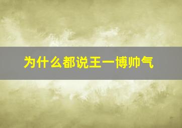 为什么都说王一博帅气