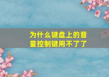 为什么键盘上的音量控制键用不了了