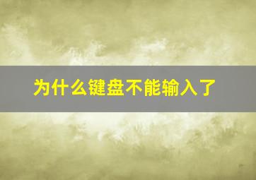 为什么键盘不能输入了