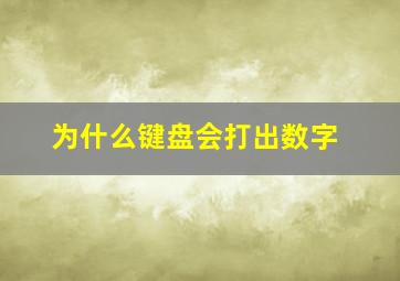 为什么键盘会打出数字