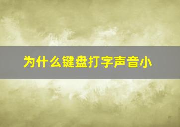 为什么键盘打字声音小