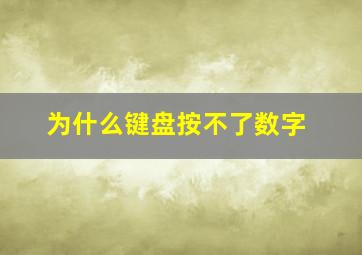 为什么键盘按不了数字