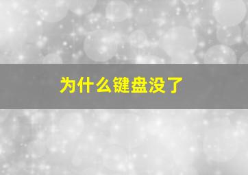 为什么键盘没了