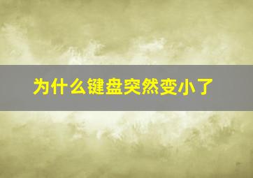 为什么键盘突然变小了