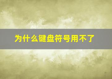 为什么键盘符号用不了