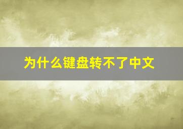 为什么键盘转不了中文