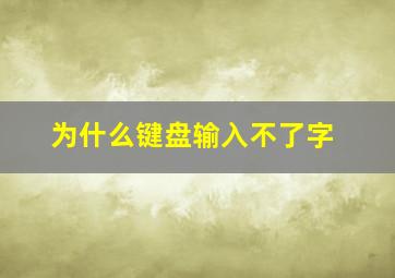 为什么键盘输入不了字