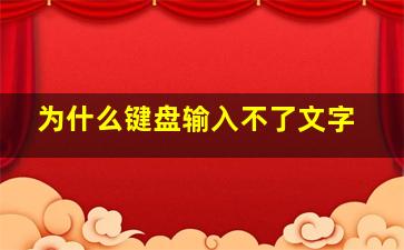 为什么键盘输入不了文字