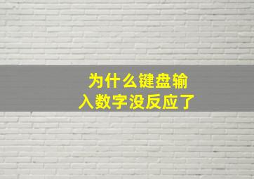 为什么键盘输入数字没反应了