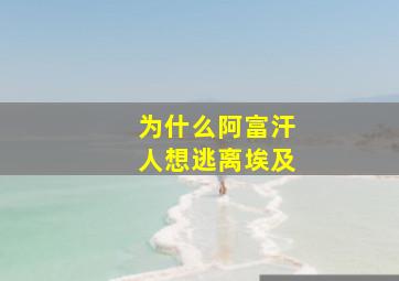 为什么阿富汗人想逃离埃及