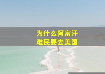 为什么阿富汗难民要去美国