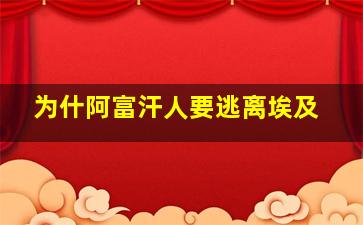 为什阿富汗人要逃离埃及