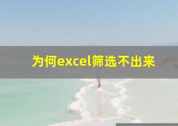 为何excel筛选不出来