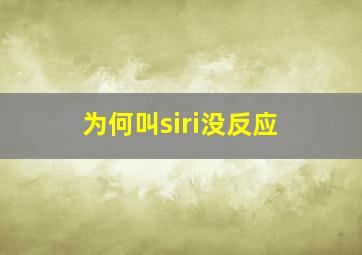 为何叫siri没反应