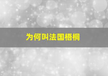 为何叫法国梧桐