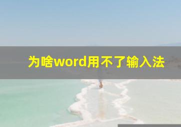 为啥word用不了输入法