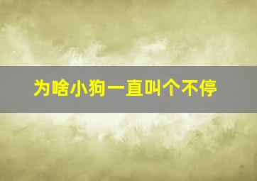 为啥小狗一直叫个不停