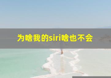 为啥我的siri啥也不会