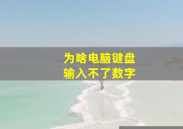 为啥电脑键盘输入不了数字