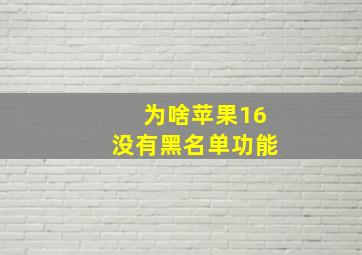 为啥苹果16没有黑名单功能