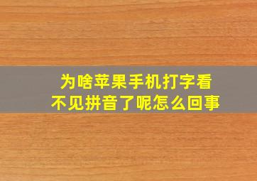 为啥苹果手机打字看不见拼音了呢怎么回事