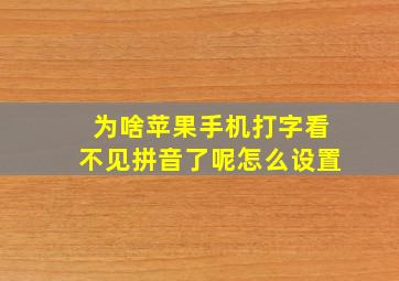 为啥苹果手机打字看不见拼音了呢怎么设置