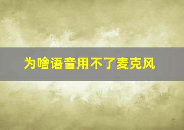 为啥语音用不了麦克风