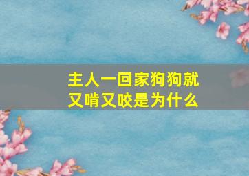 主人一回家狗狗就又啃又咬是为什么