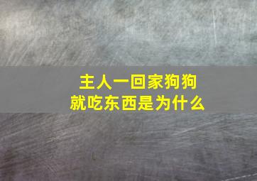 主人一回家狗狗就吃东西是为什么