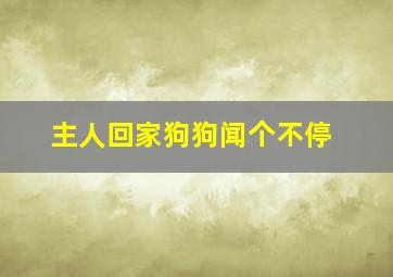 主人回家狗狗闻个不停