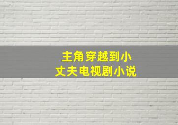 主角穿越到小丈夫电视剧小说