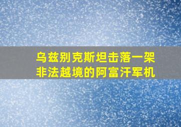 乌兹别克斯坦击落一架非法越境的阿富汗军机